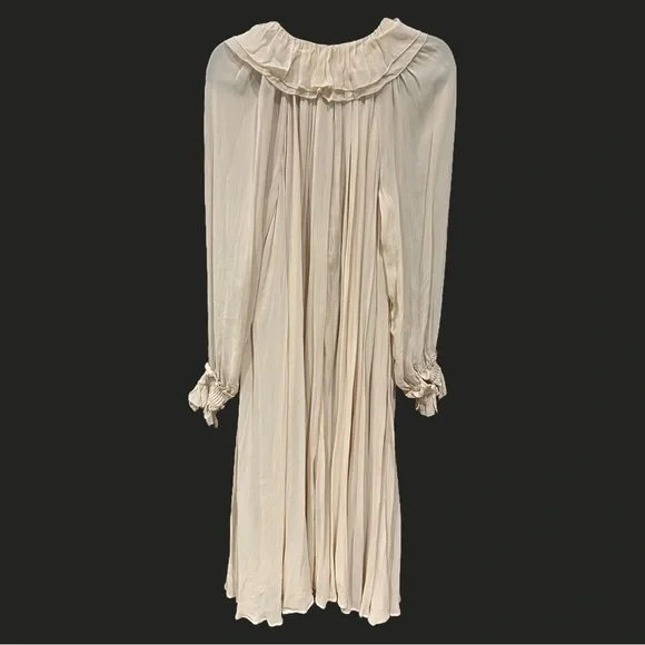 NWT ANTHROPOLOGIE Long Sleeve Sheer Pleated Maxi Dress Neutral‎ XS-M - Picture 6 of 16
